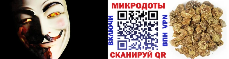 Галлюциногенные грибы мухоморы  Шумиха 